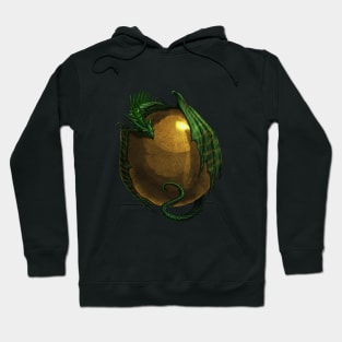 Gold Ball Dragonball Hoodie